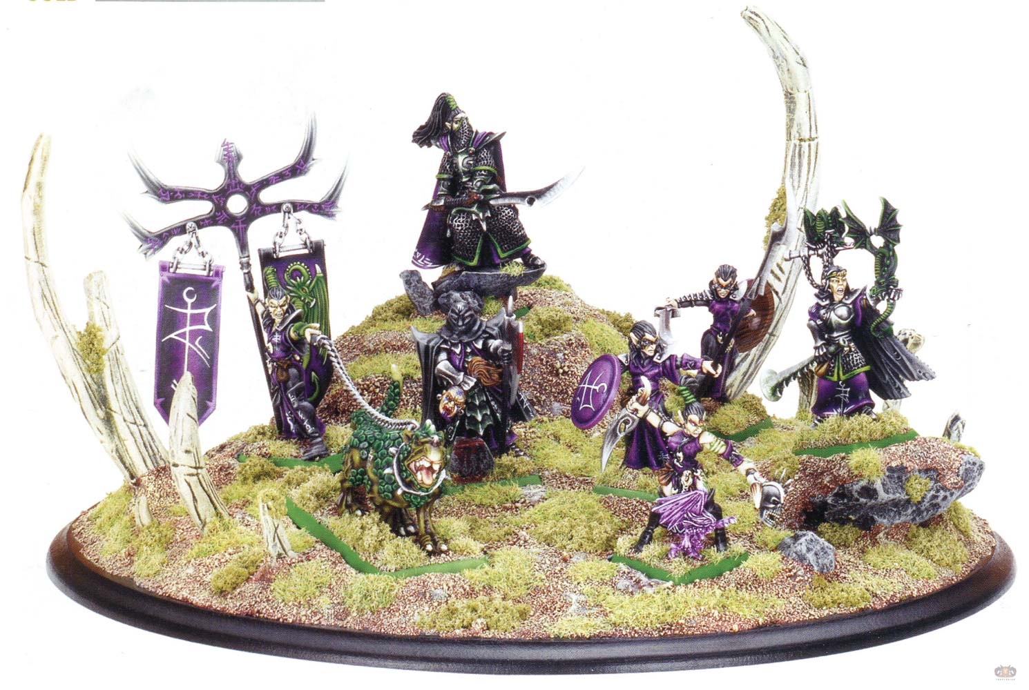 Dark Elf Regiment