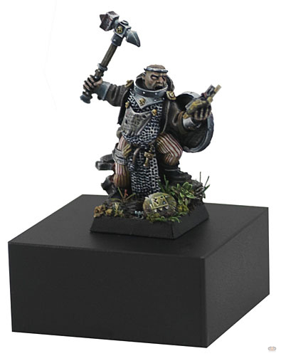 Warrior Priest in Lustria