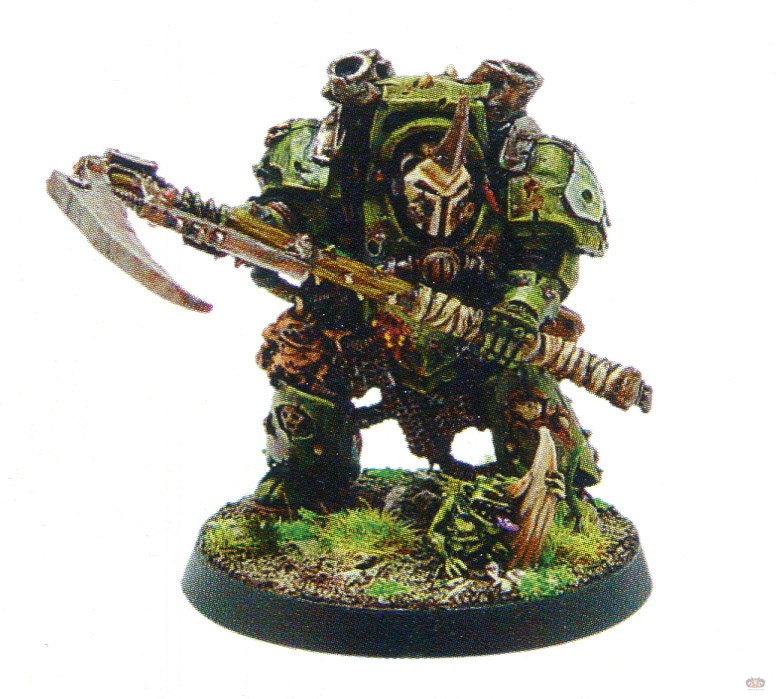Typhus