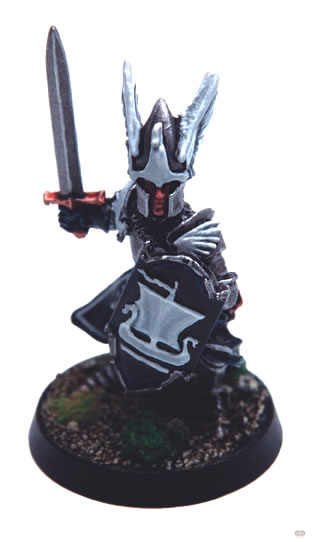 Knight of Dol Amroth