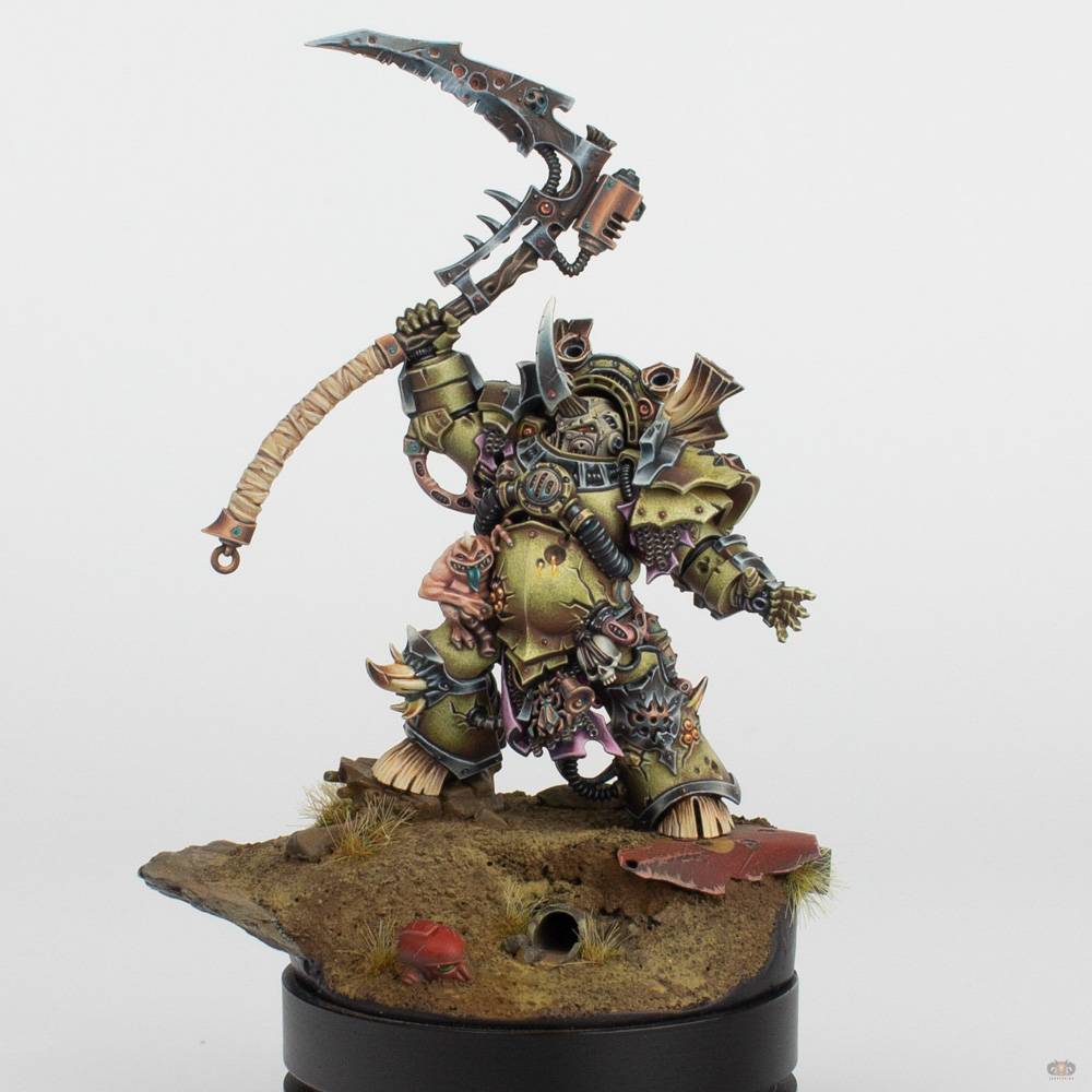 Typhus